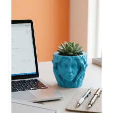 Modern Ev Dekoru İçin Kadın Yüzü Ağaç Tasarımlı Dekoratif Vazo Modern Ev Dekoru İçin Kadın Yüzü Ağaç Tasarımlı Dekoratif Vazo